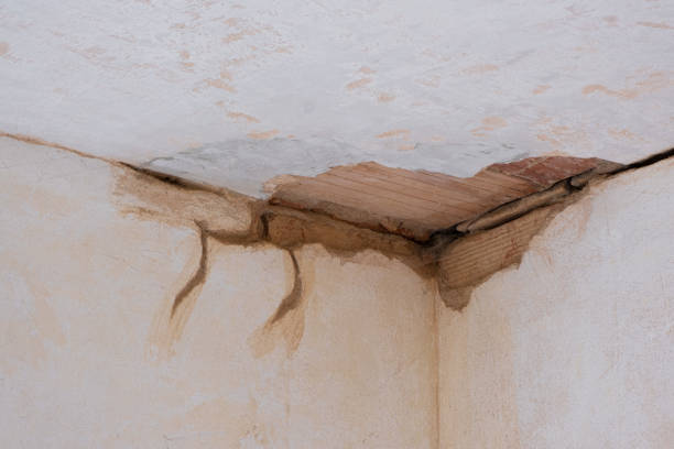 Best Sewage cleanup and water damage restoration  in Plainfield, IL