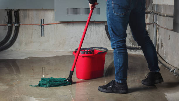 Best 24/7 water damage repair  in Plainfield, IL